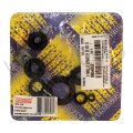 MOTOR KEÇE TK.S.PARAOLIO BOMBARDIER DS 650